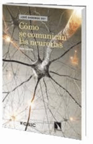 CÓMO SE COMUNICAN LAS NEURONAS